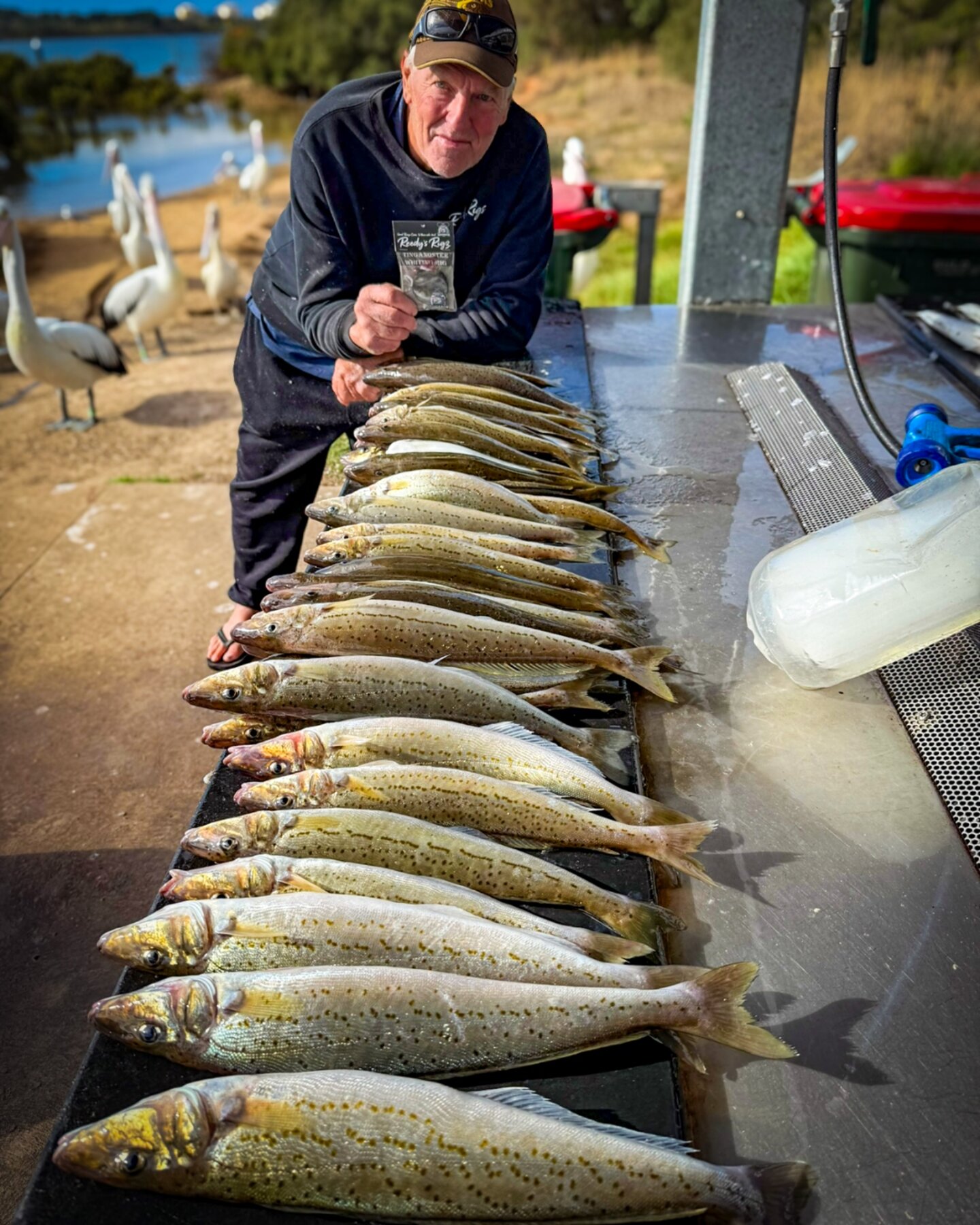 King George Whiting catch logged in BayCast