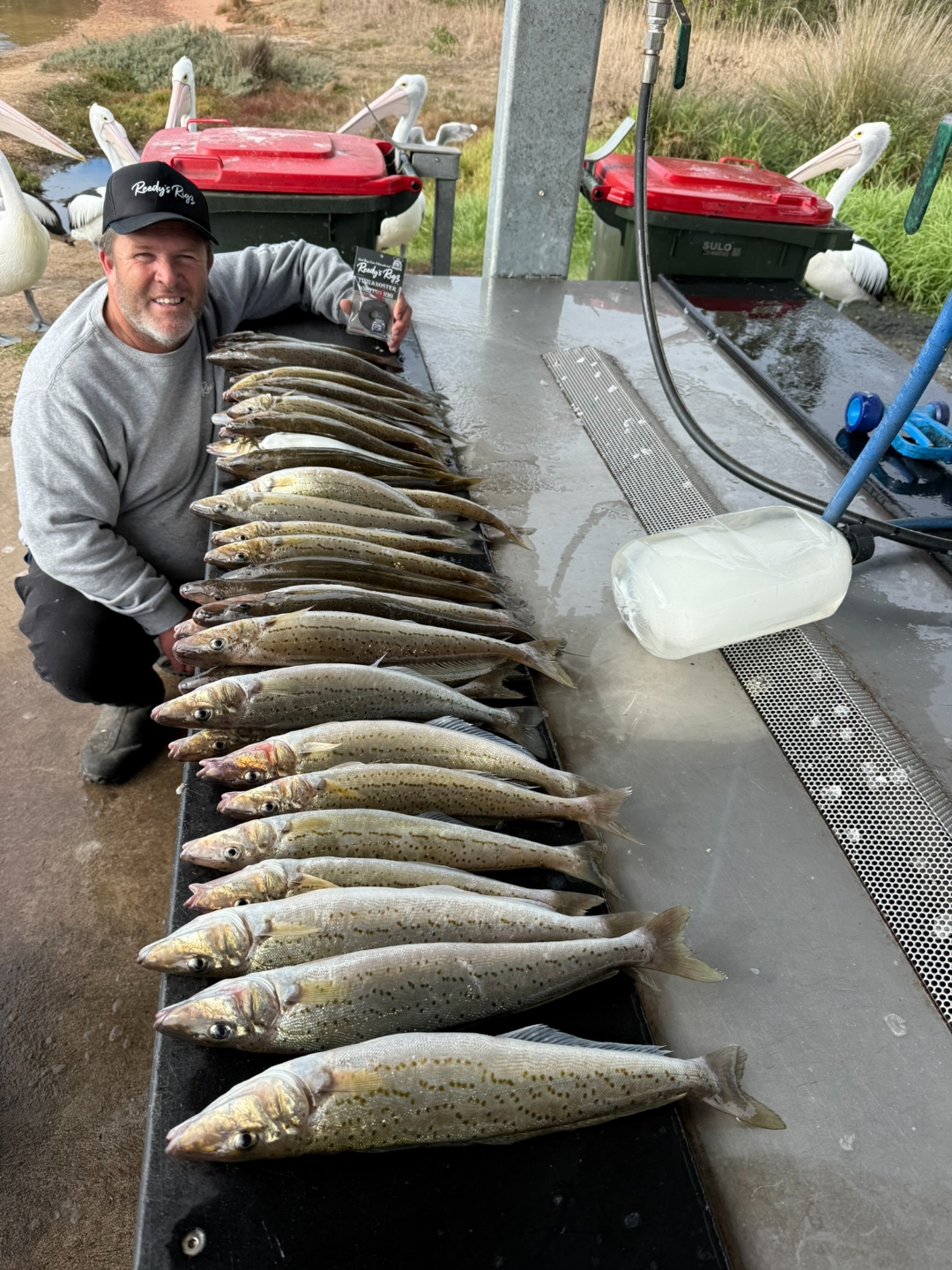 Brett Reed of Reedy's Rigs, Melbourne, with a bag of King George Whiting from Port Phillip Bay