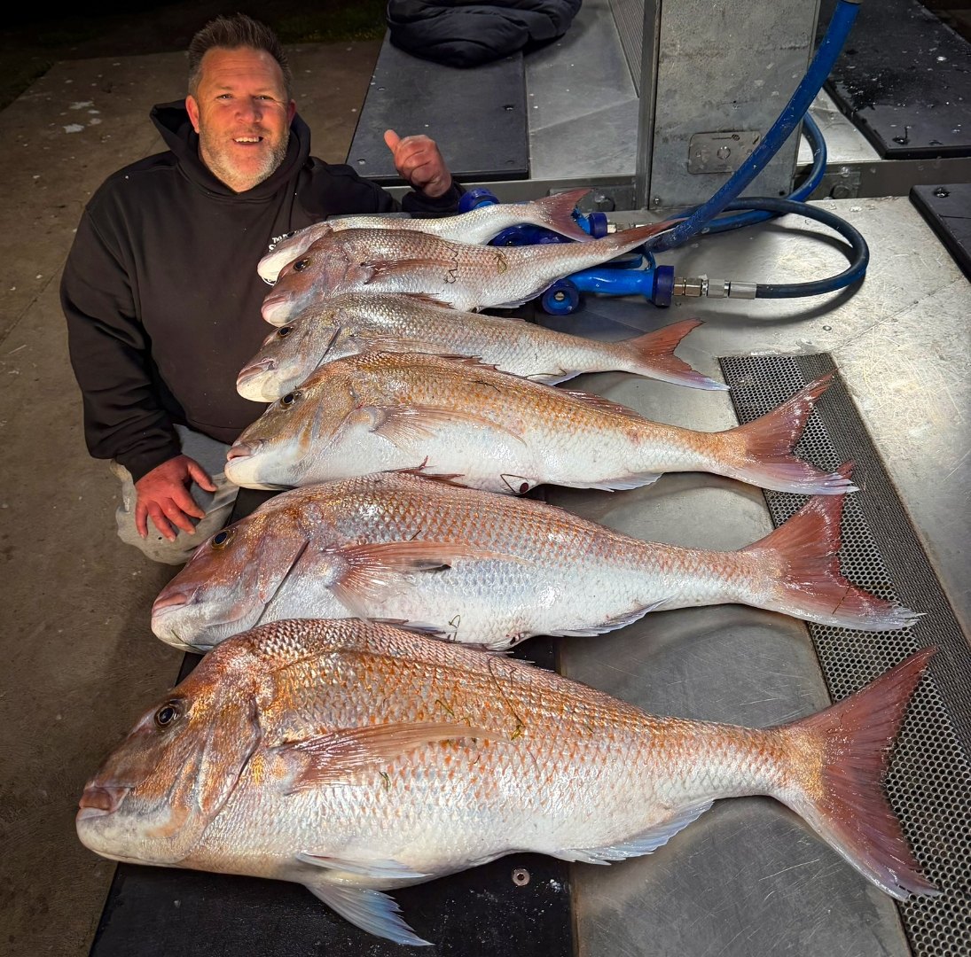 Reedy's Rigs five-fish snapper bag from Port Phillip Bay