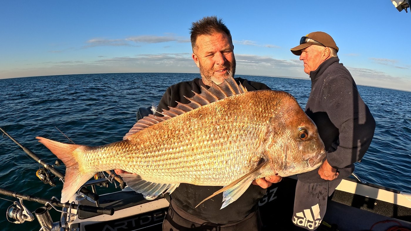 Big snapper held up at golden hour, Port Phillip Bay