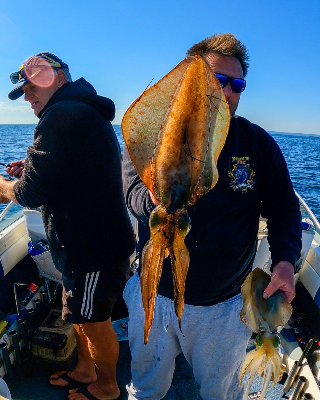 Big squid caught on Port Phillip Bay by Reedy's Rigs